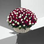 Harmony of Love and Purity