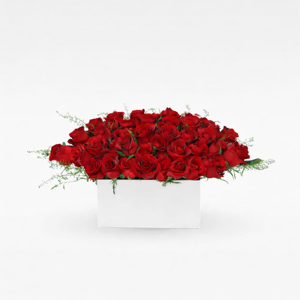 Striking Red Blooms in White Box
