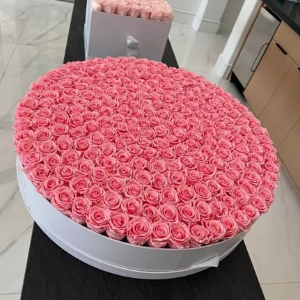Elegant Pink Blooms in a  Leather Box